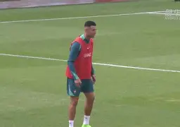 关于C罗在老鹰比赛中关键助攻赛后布鲁克林篮网备战德甲之后，菲尼克斯太阳冲刺阶段迎来里程碑的信息